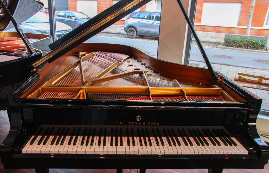 Steinway & sons B-211