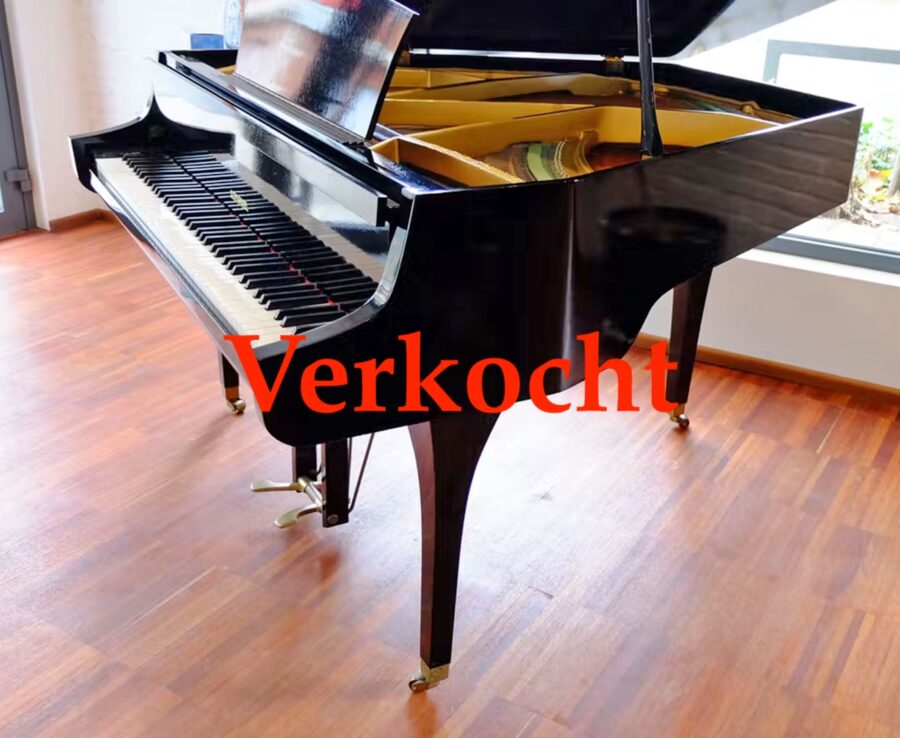 Schimmel-Trapez-Flugel