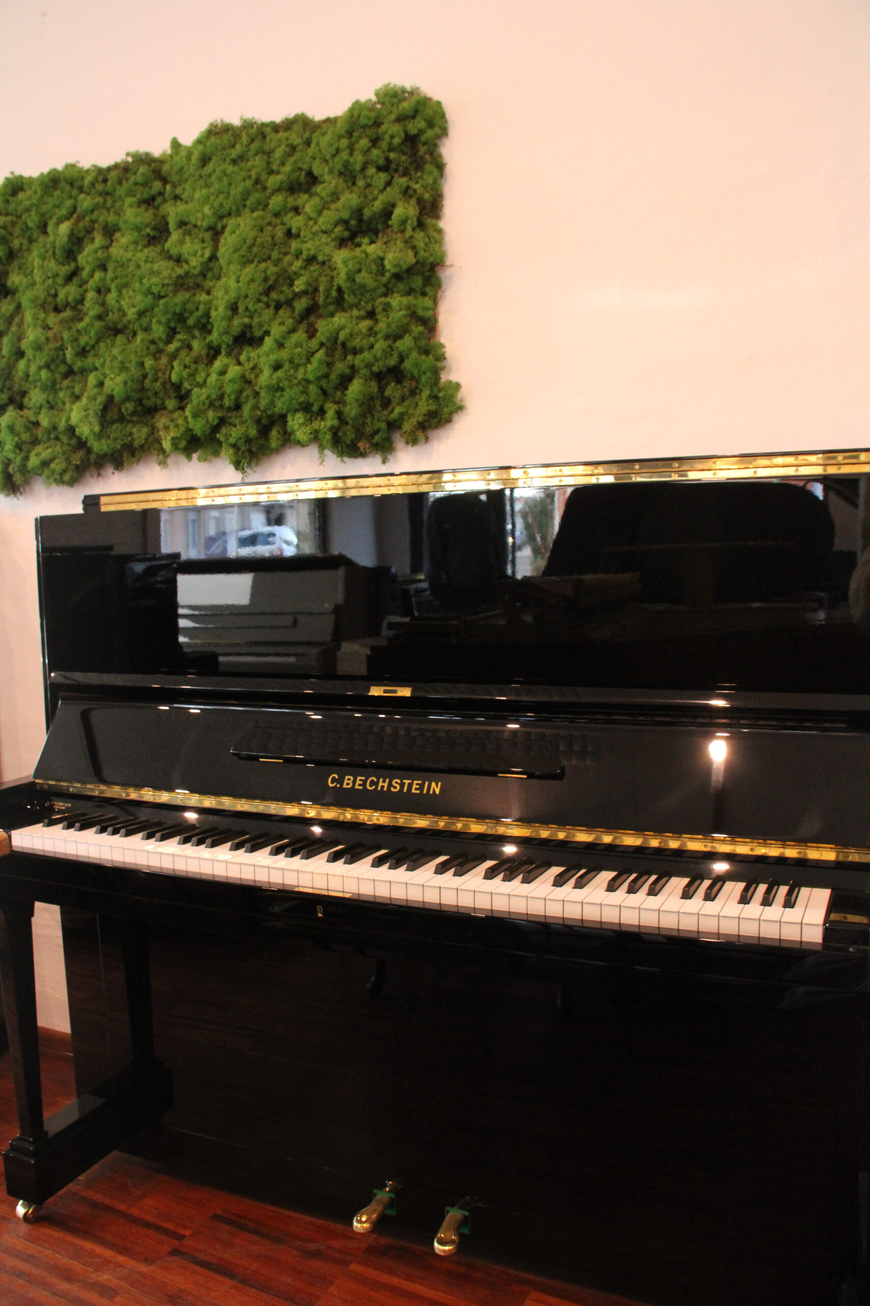 C. Bechstein model 8