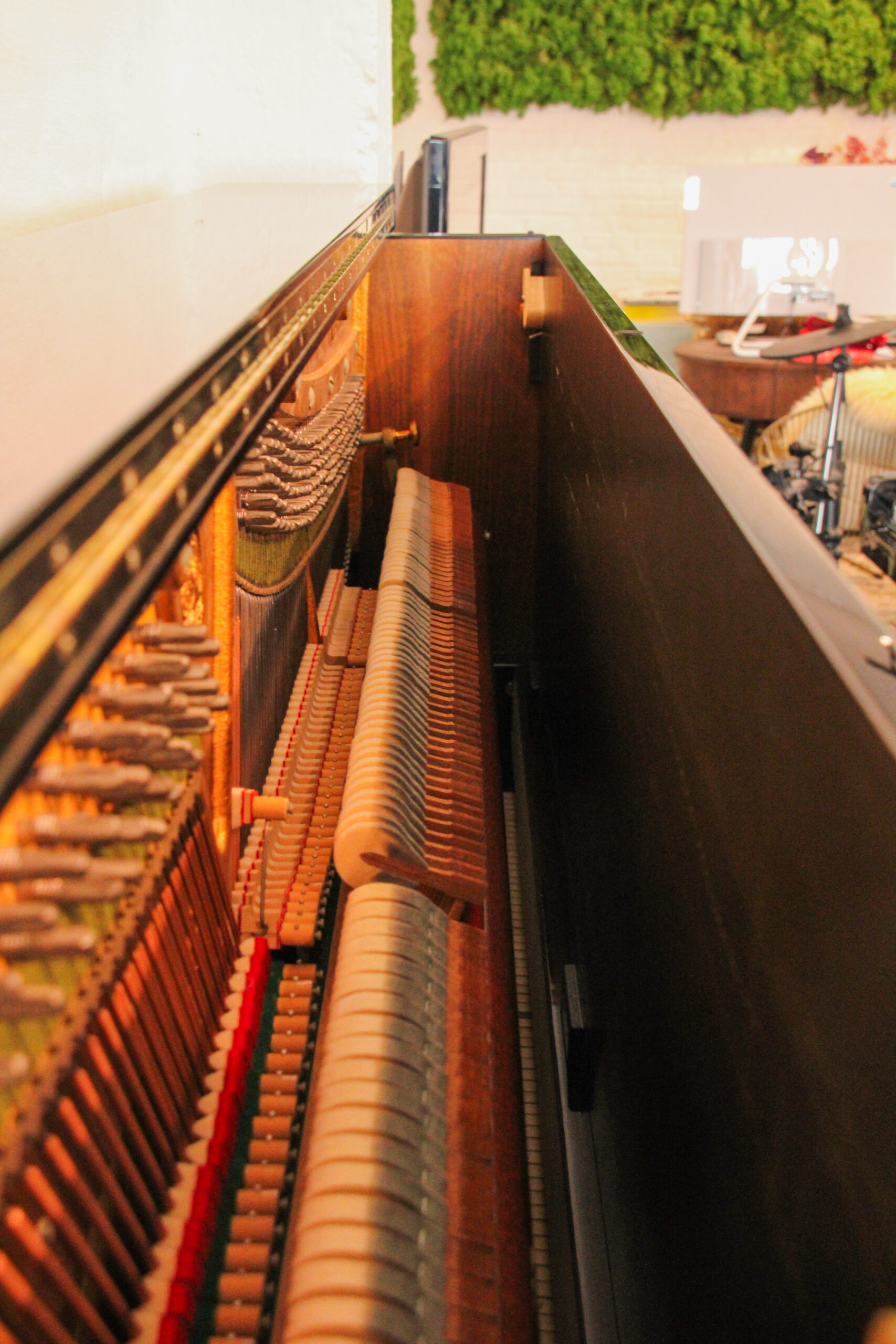 C. Bechstein model 8
