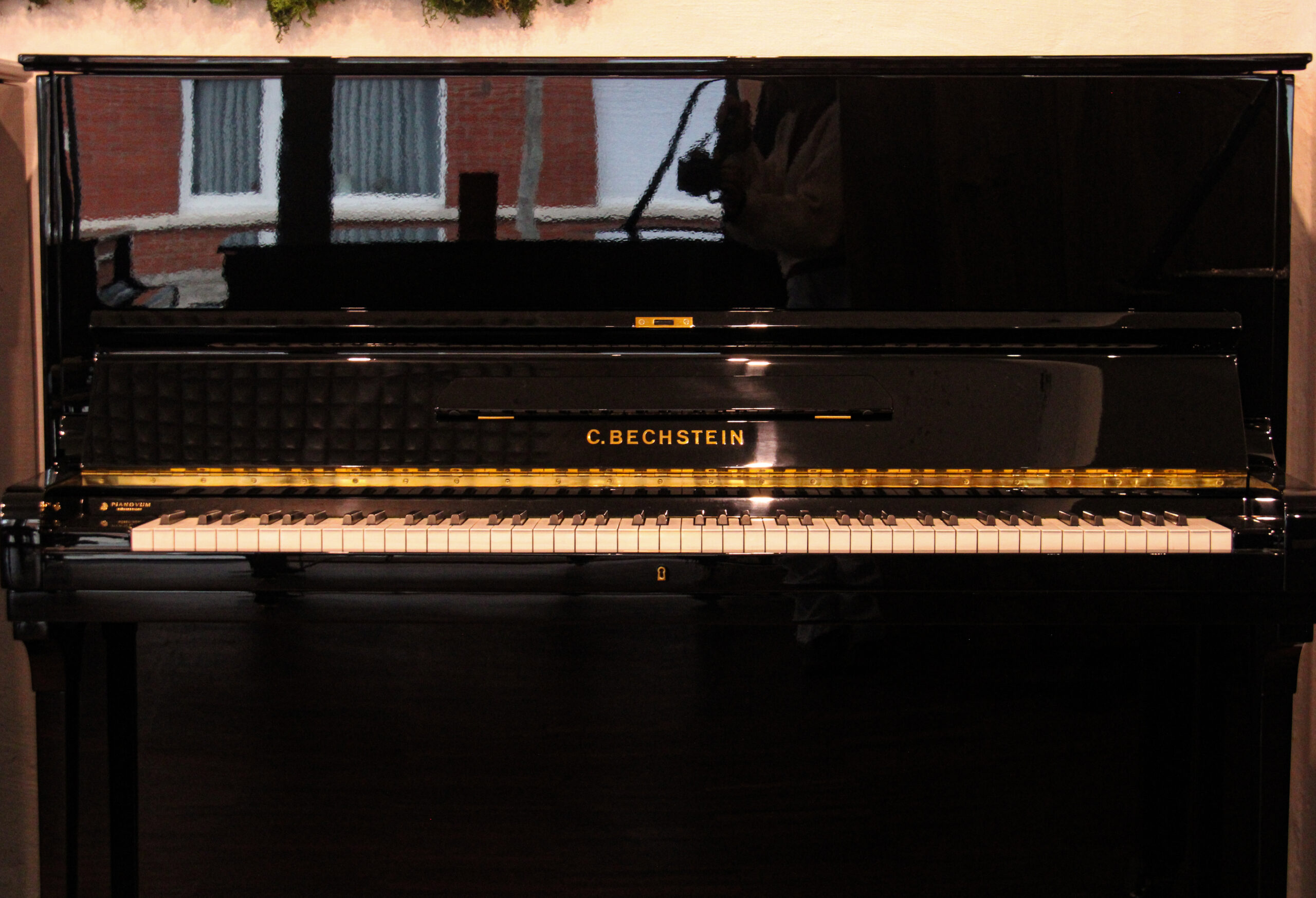 C. Bechstein model 8