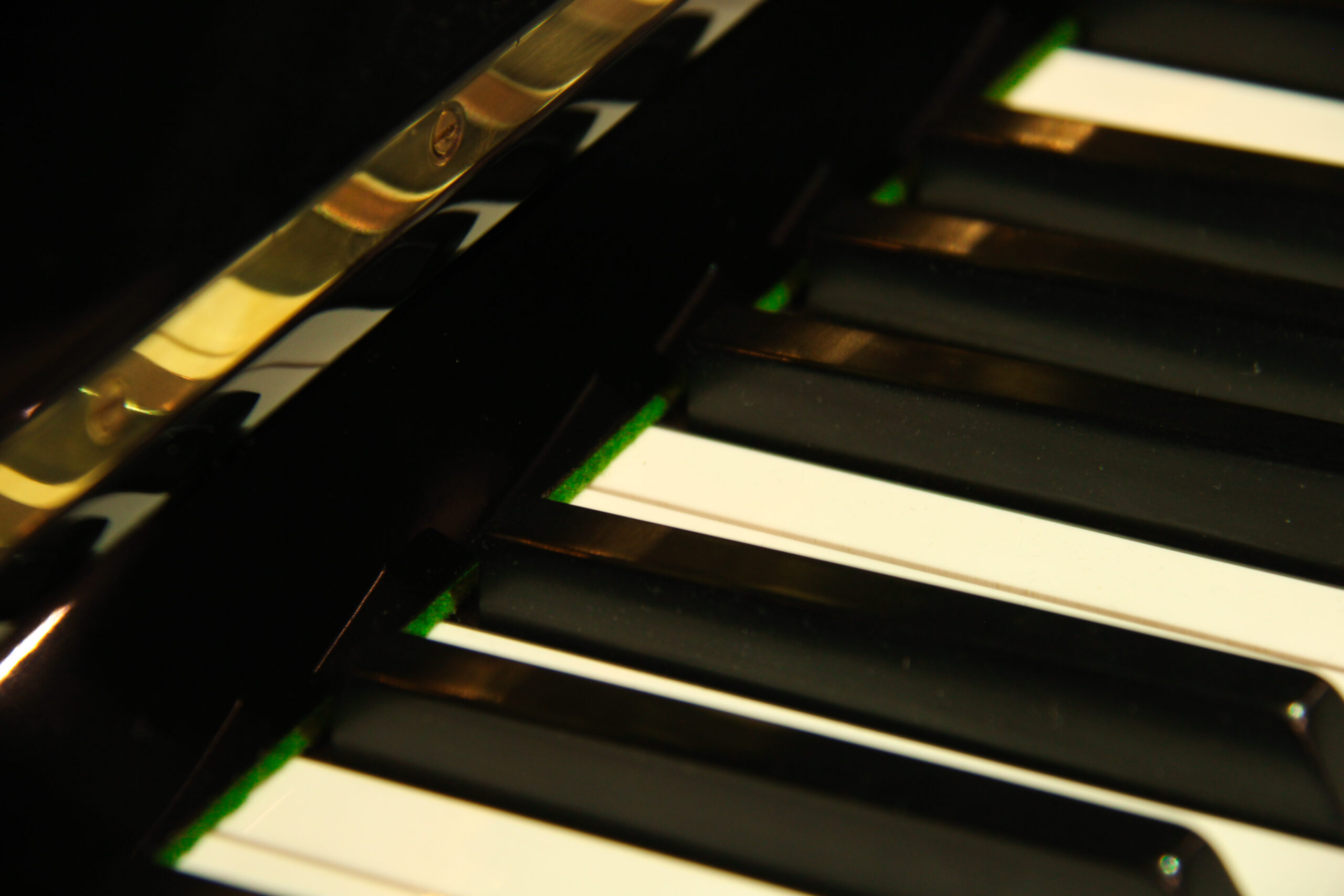 C. Bechstein model 8